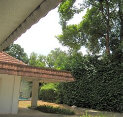 Morley Road (D10), Detached #285711571